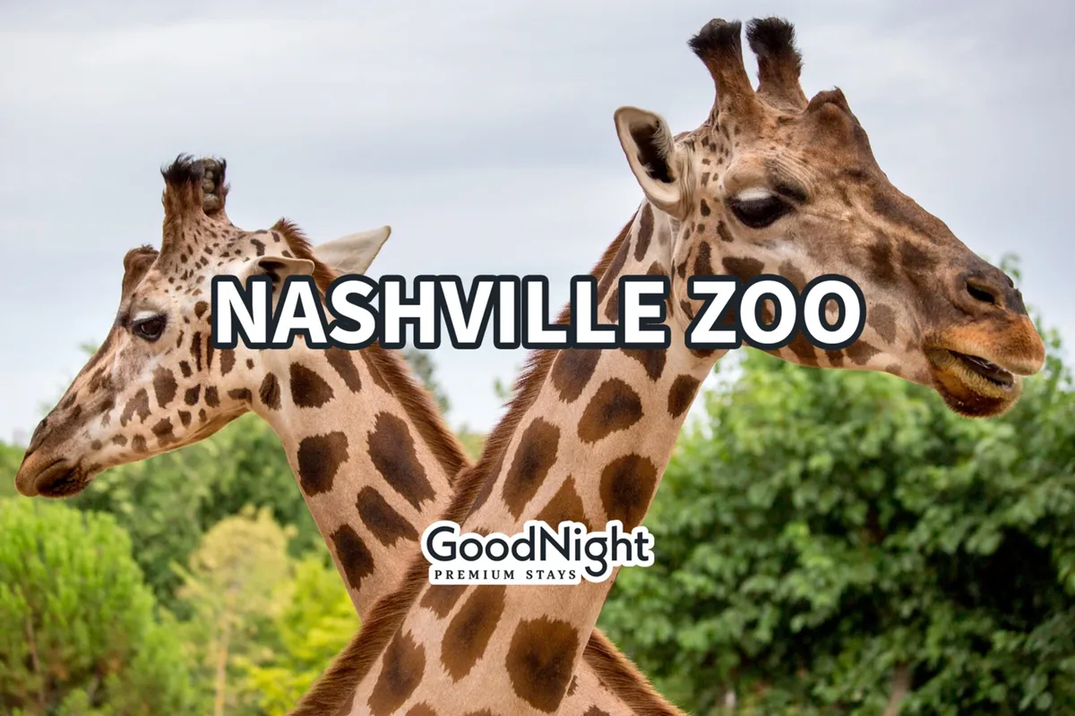 This image captures two giraffes standing amid a lush green background, clearly set within a zoo environment. The playful atmosphere and natural setting evoke the excitement of a family outing to the Nashville Zoo, one of the nearby attractions mentioned in the content.